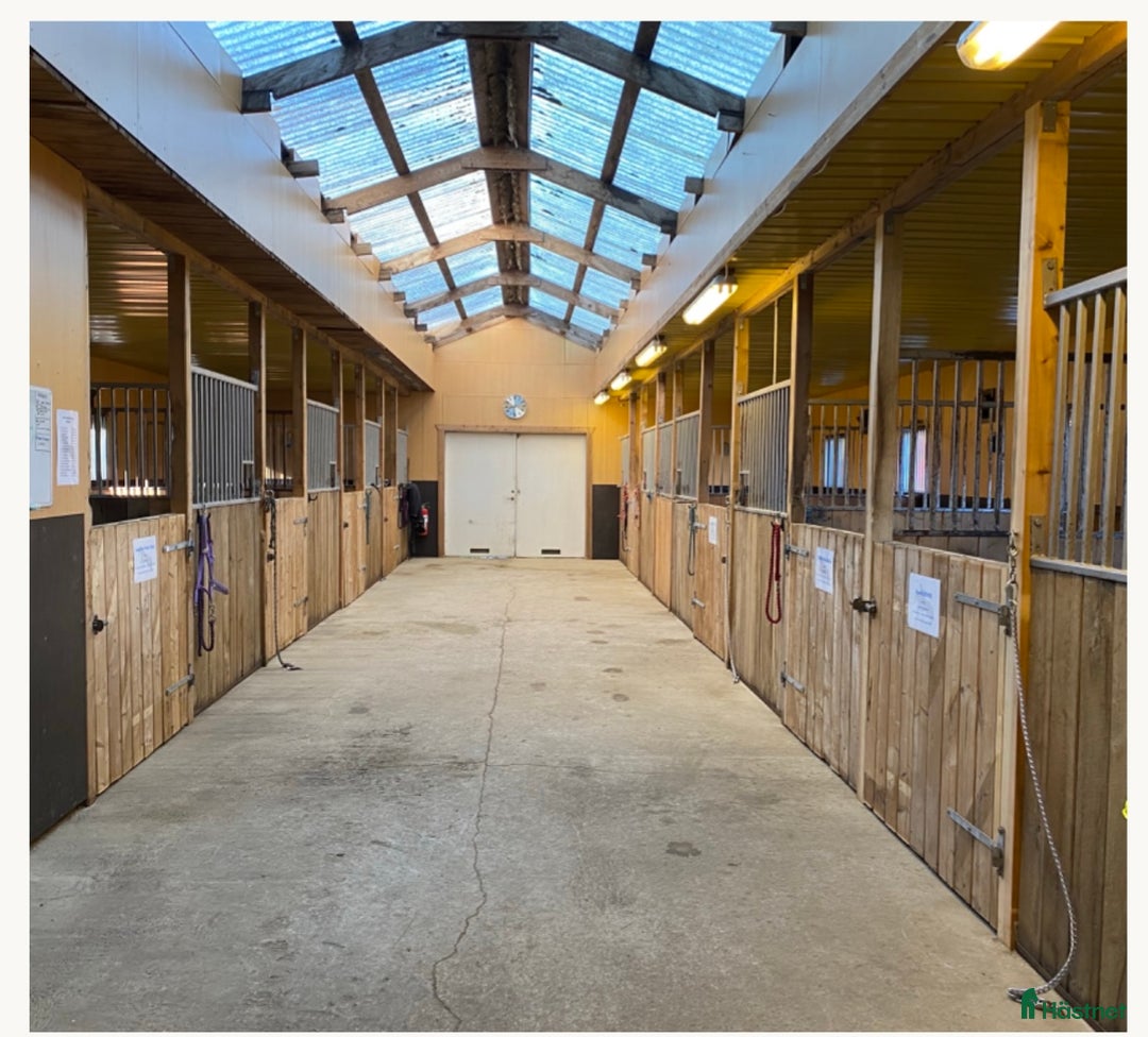  stallplats finnes: Stallplats hos Angelstar stuteri i Timmele - Annons 1