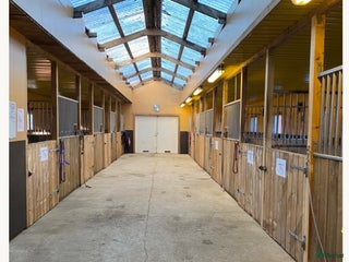 stallplats finnes: Stallplats hos Angelstar stuteri i Timmele - Annons 1