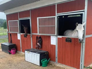 stallplats 2 stallplatser med ridhus Åkersberga i Åkersberga - Annons 17