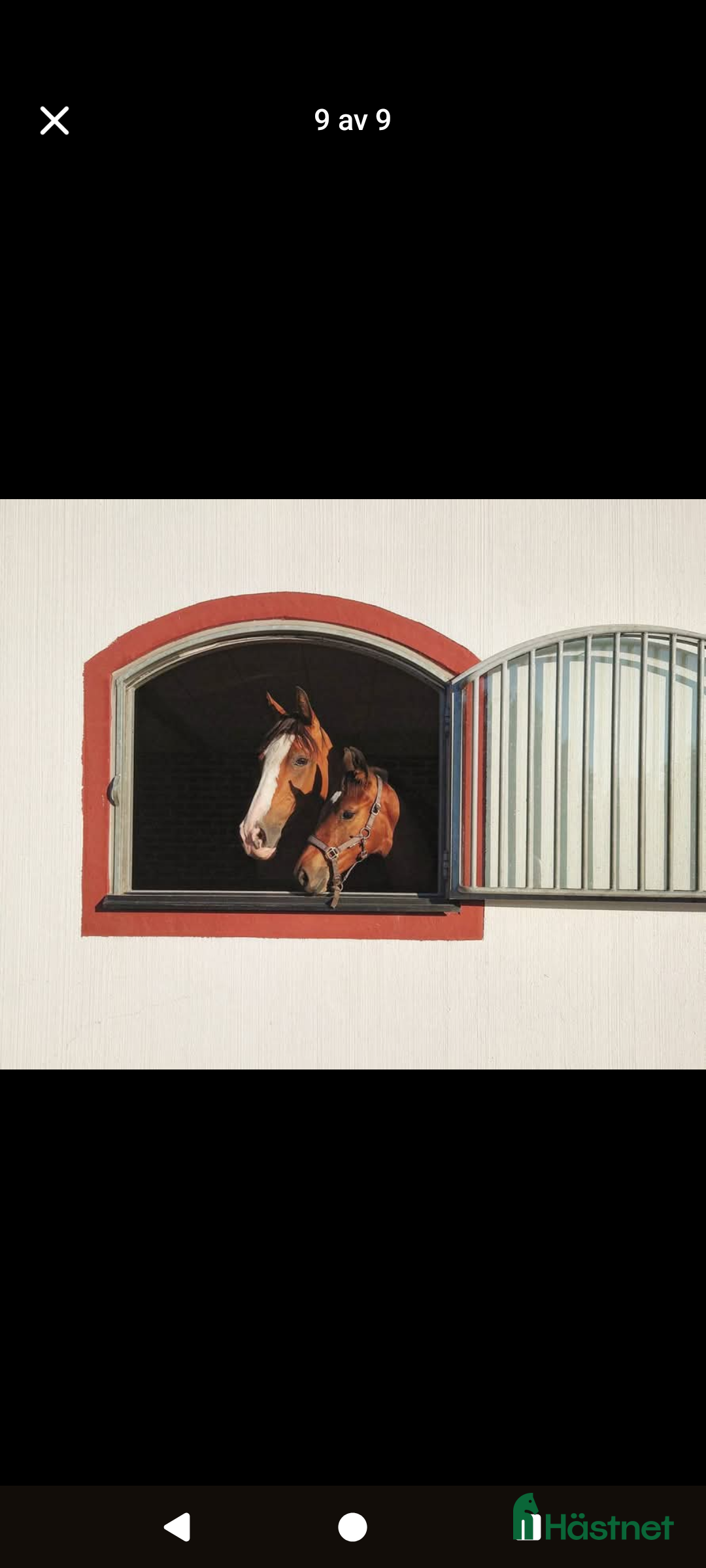  stallplats finnes: Stallplats Bjärehalvön Båstad  i Båstad - Annons 4