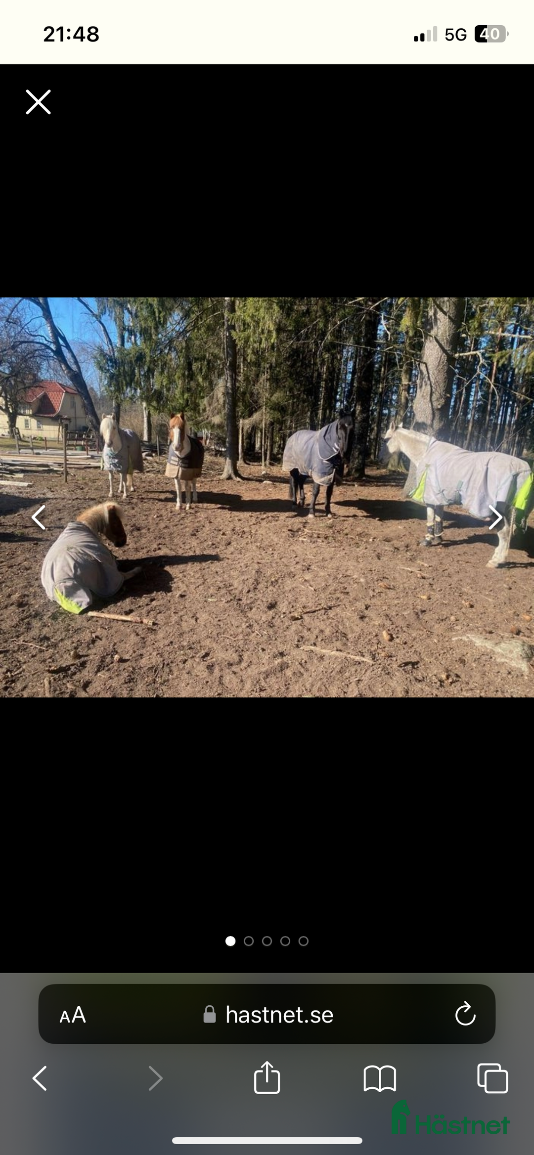 stallplats finnes: Lediga boxplatser i Vallentuna - Annons 17