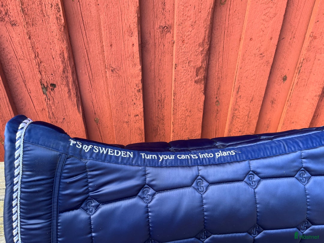 Schabrak & Vojlockar hästutrustning till salu: Marinblått PS schabrak  i Uppsala - Annons 3