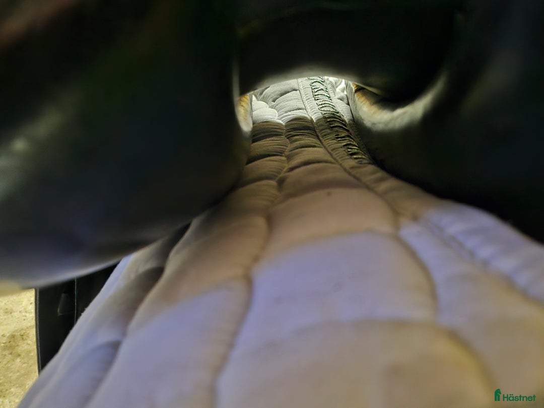 Sadlar hästutrustning till salu: Svart dressyrsadel nyomstoppad i Halmstad - Annons 5