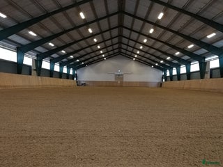 stallplats finnes: Ledig boxplats i Kävlinge - Annons 1