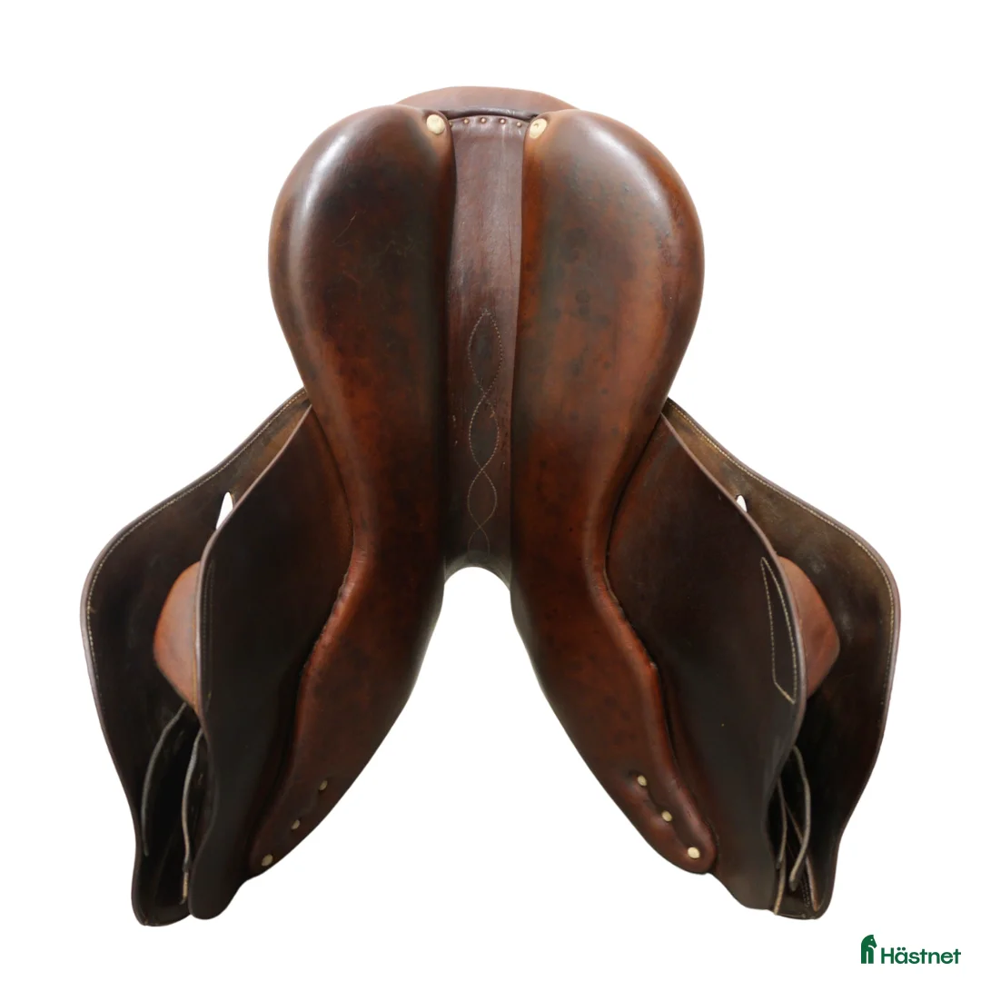 Sadlar hästutrustning till salu: Antarès SC 17" - Annons 7