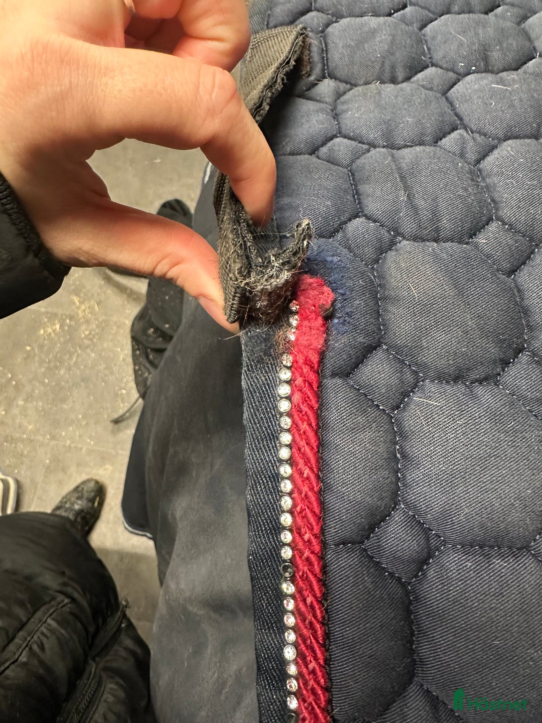 Schabrak & Vojlockar hästutrustning till salu: Equiline och Trolle schabrak säljes i Bollnäs - Annons 6