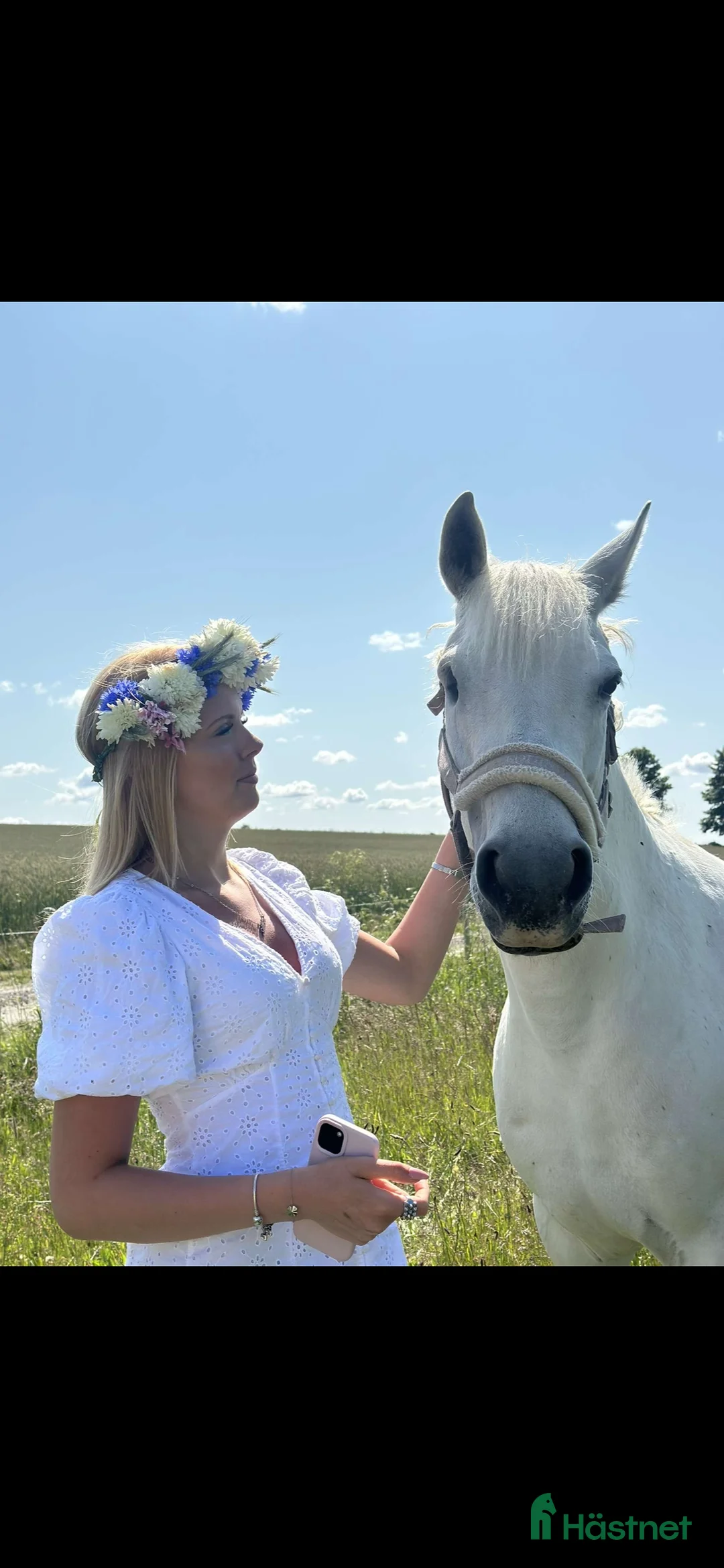  medryttarhäst finnes: Liten storhäst söker medryttare  utanför Hörby i Hörby - Annons 1