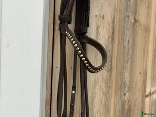 Träns hästutrustning Otto Schumacher träns - Annons 1