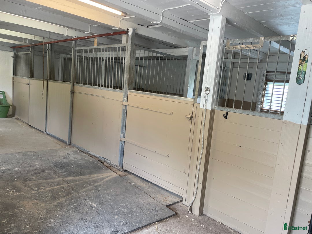  stallplats finnes: Boxplats i mysigt stall för ponny bussförbindelser i Uddevalla - Bild 8