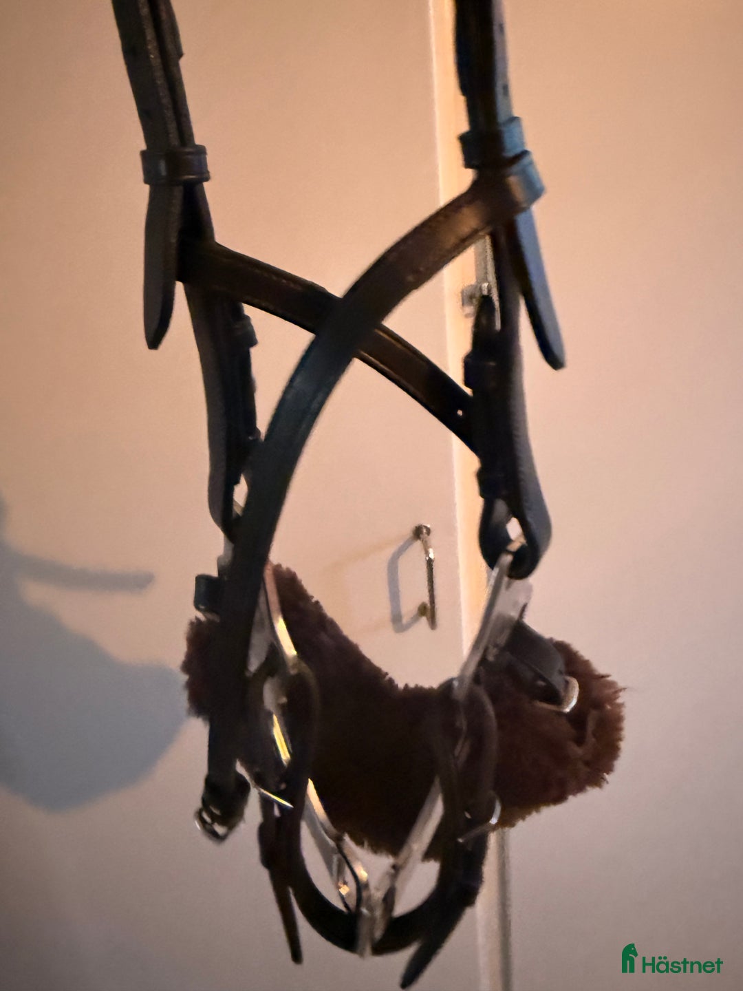 Träns hästutrustning till salu: Psof hackamore  i Grödinge - Annons 4