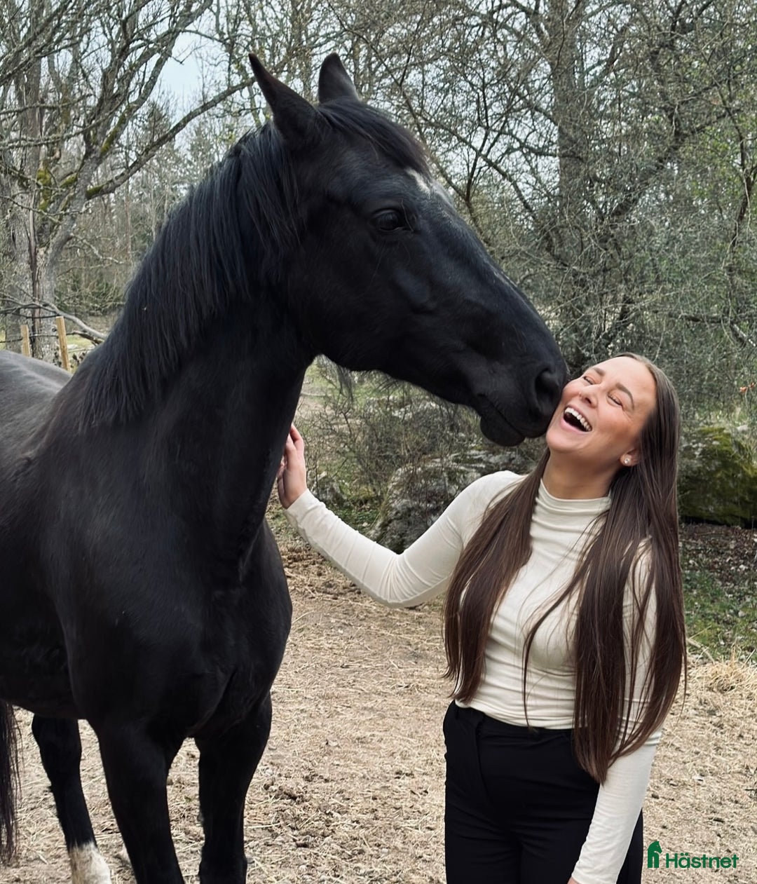  medryttarhäst sökes: Ansvarsfull medryttare söker häst i Strängnäs - Annons 2