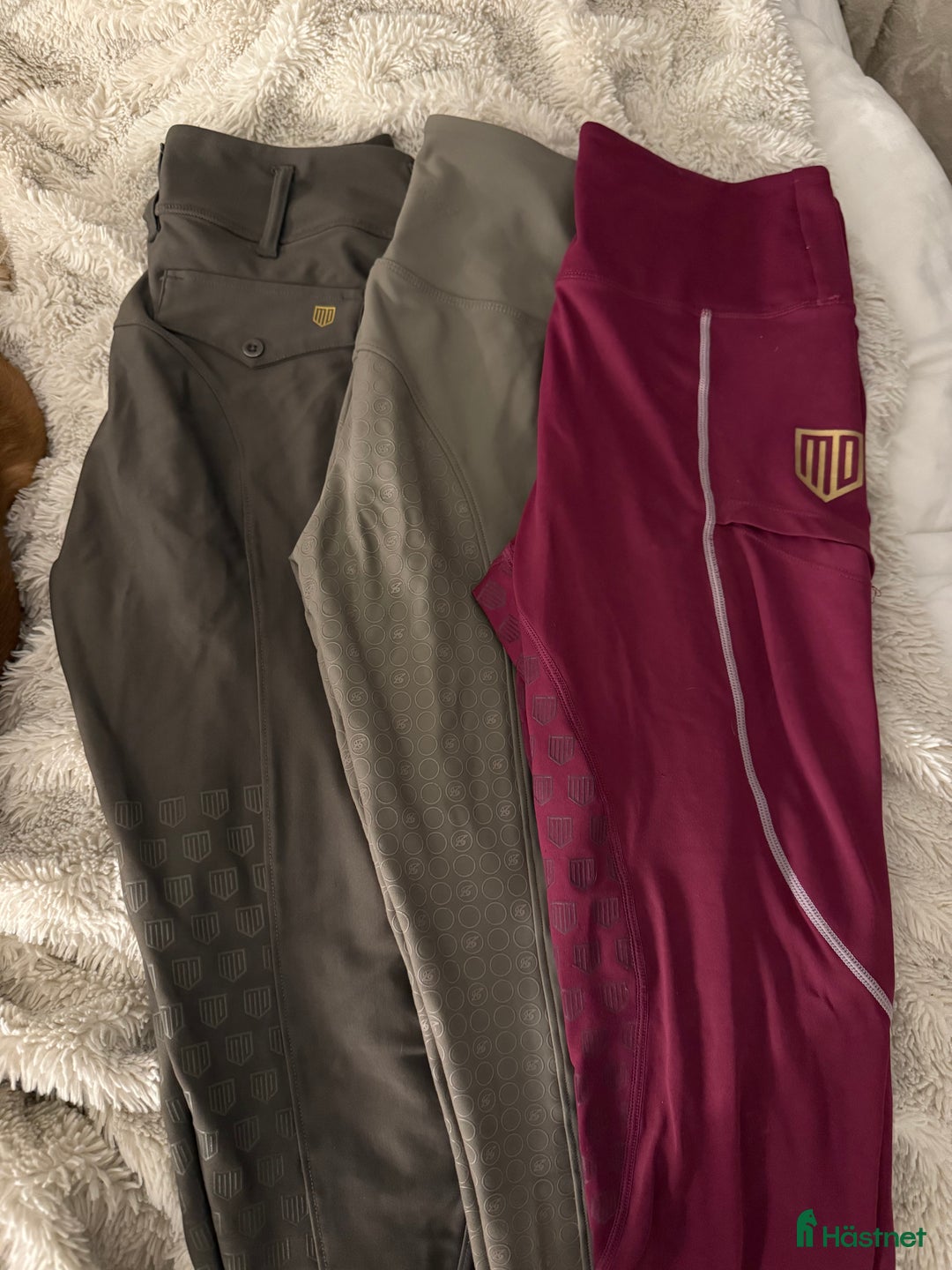 Ridbyxor ryttarutrustning till salu: Ridbyxor md och zacsess i Västerås - Annons 1