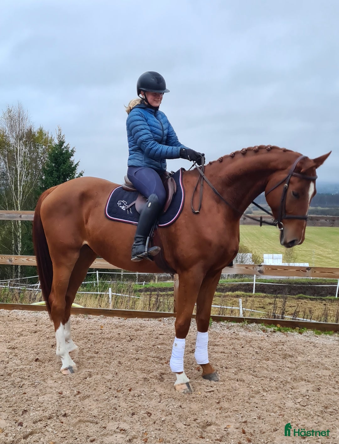 Dressyr hästar till salu: 🌟Framtidsstjärna för satsande ryttare🌟 i Sunne - Annons 3