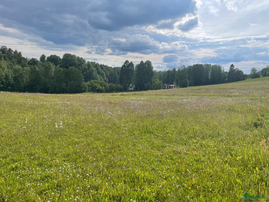  stallplats finnes: Stallplats i Djurmo/Gagnef i Djurmo - Annons 3