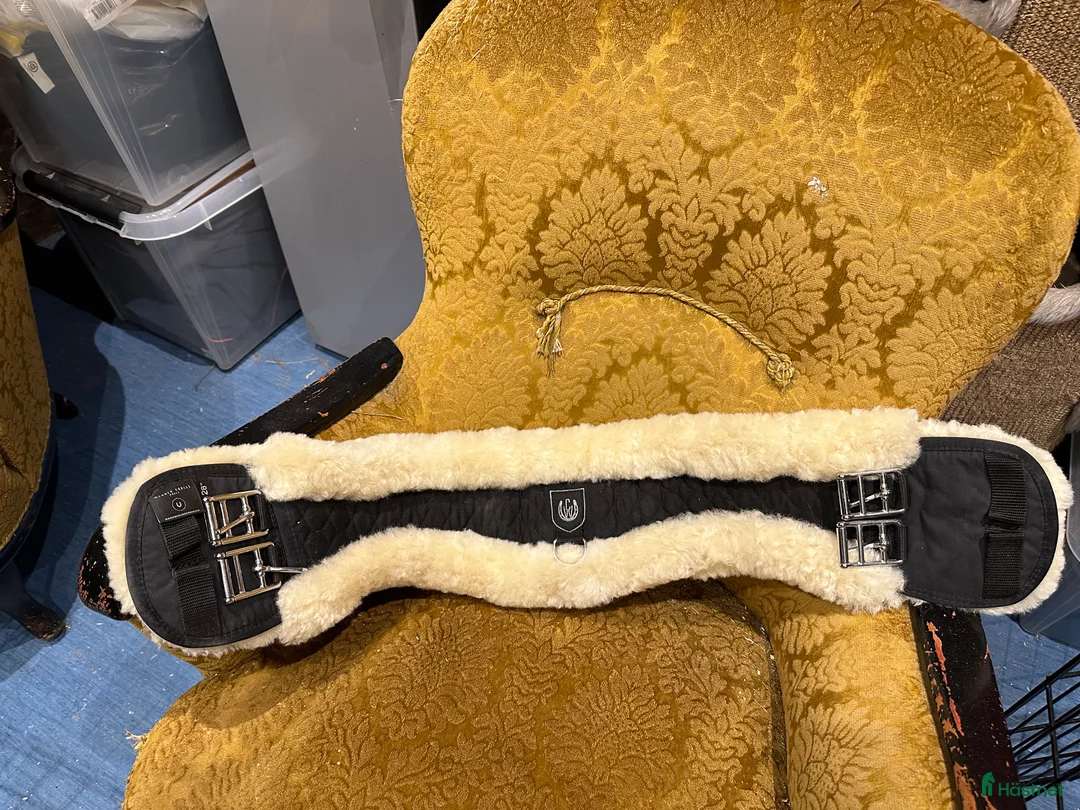 Sadeltillbehör hästutrustning till salu: Dressyrgjord fårskinn i Skillingaryd - Annons 1