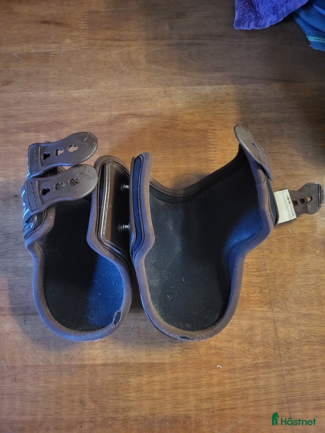 Benskydd hästutrustning till salu: Veredus benskydd i Laholm - Annons 5