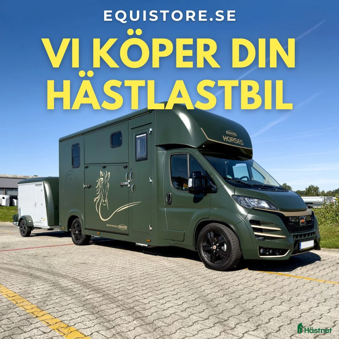 Hästlastbilar  fordon & transport till salu: Köpes i Vallentuna - Annons 2