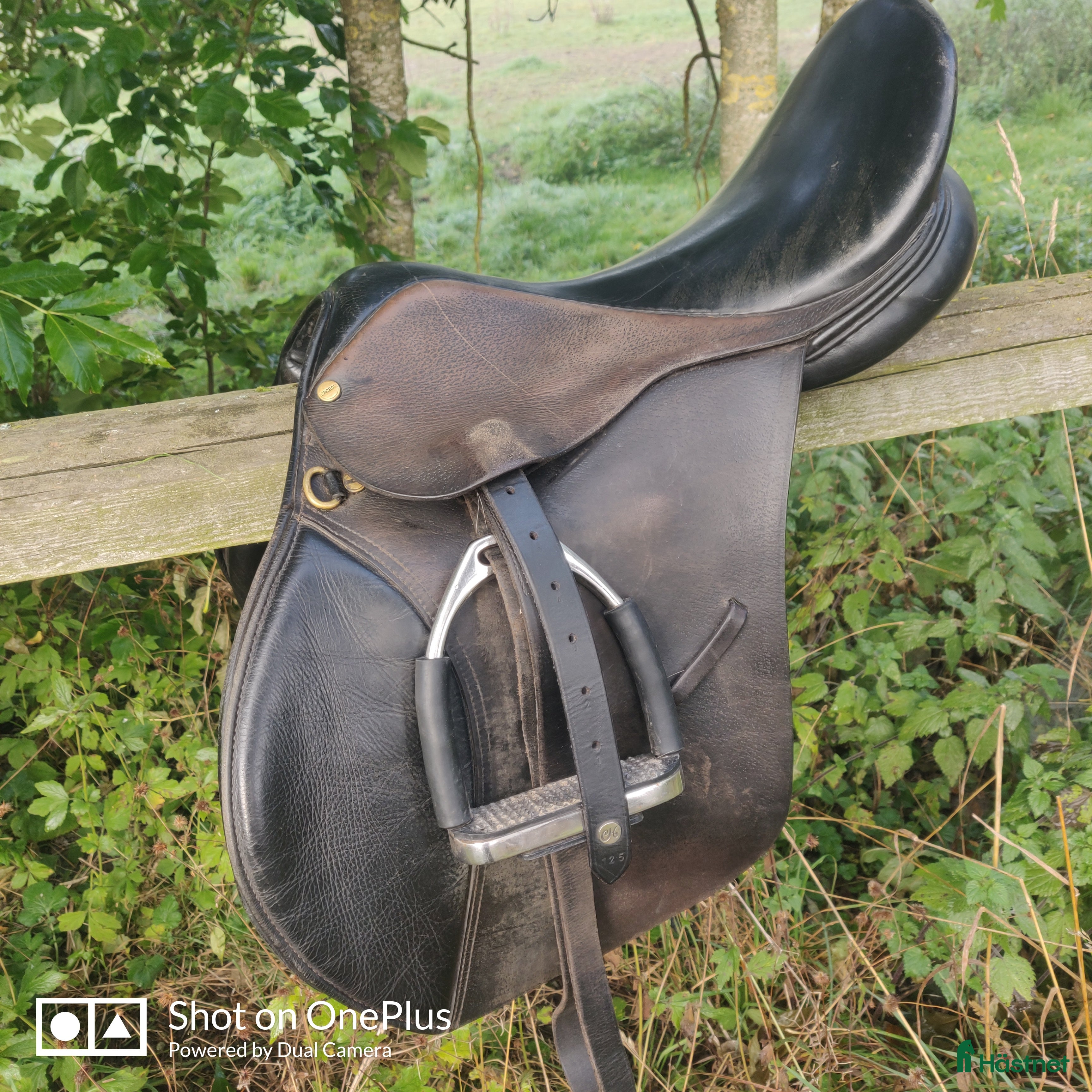 Sadlar hästutrustning till salu: Allround Sadel i Österbybruk - Annons 9