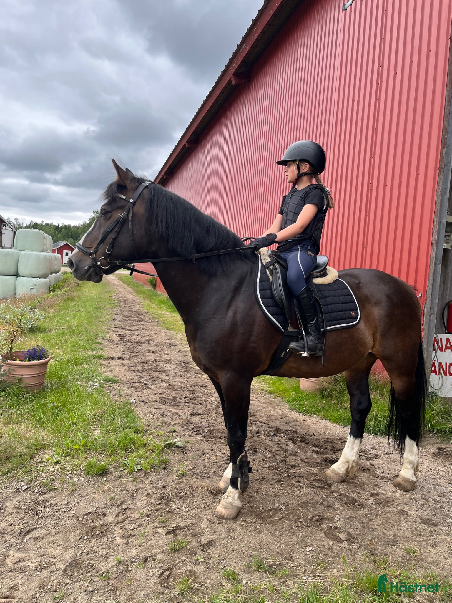  medryttarhäst sökes: Ponny sökes till medryttare/fodervärd  - Annons 1