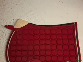 Schabrak & Vojlockar hästutrustning Schabrak i Jättendal - Annons 14