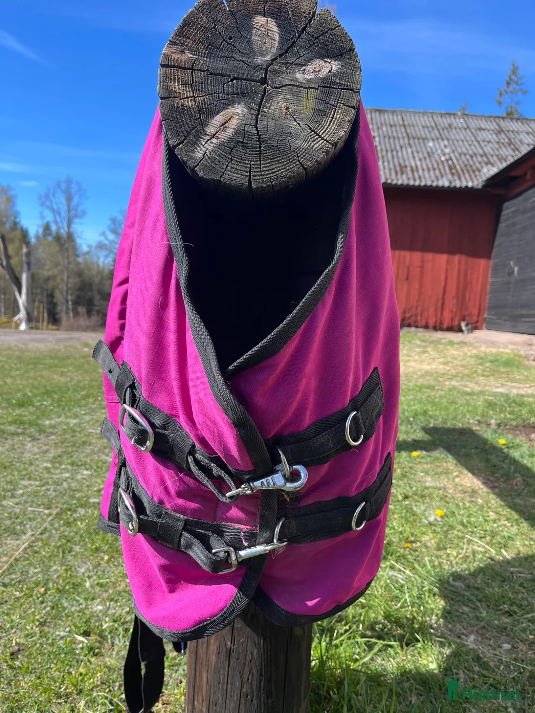 Täcken hästutrustning till salu: Täcken 85cm - Annons 1