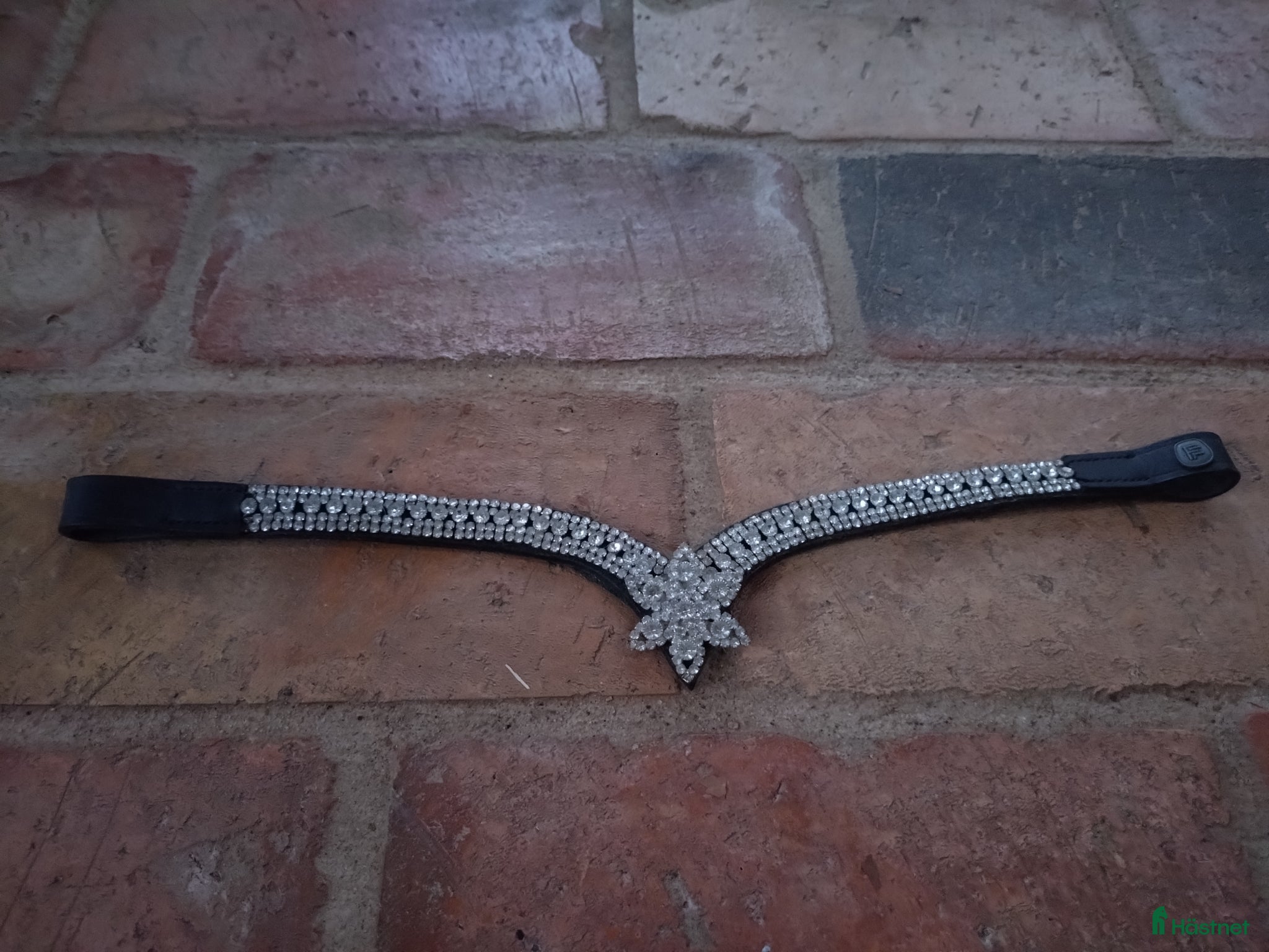 Träns hästutrustning Jätte fint fairfield pannband  - Annons 18