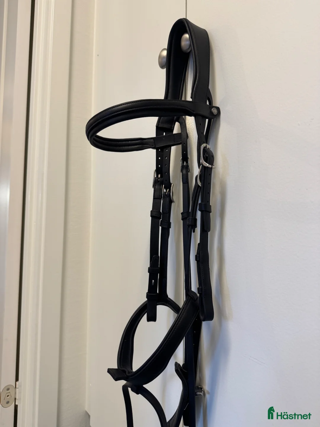 Träns hästutrustning till salu: Antarès träns  - Annons 2