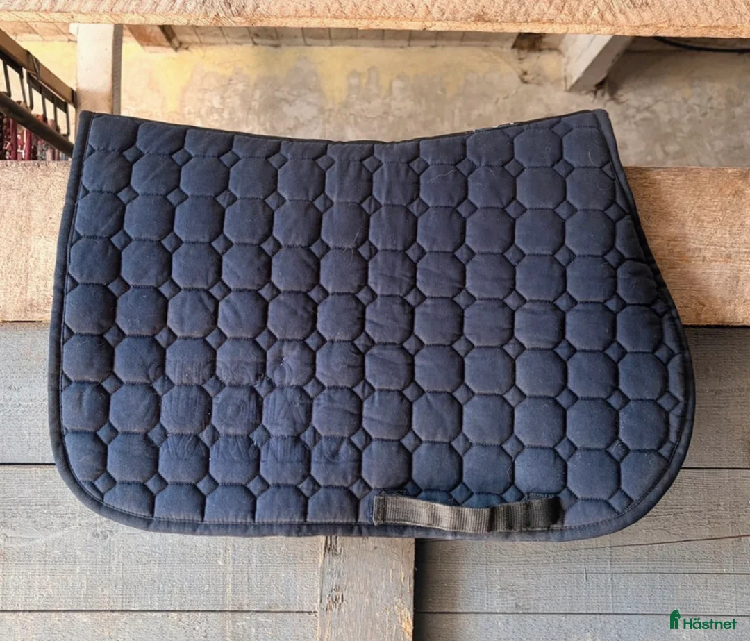 Schabrak & Vojlockar hästutrustning till salu: Equiline hoppschabrak till ponny - Annons 2