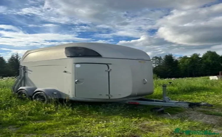 Hästtransporter  fordon & transport till salu i Bispgården - Annons 11