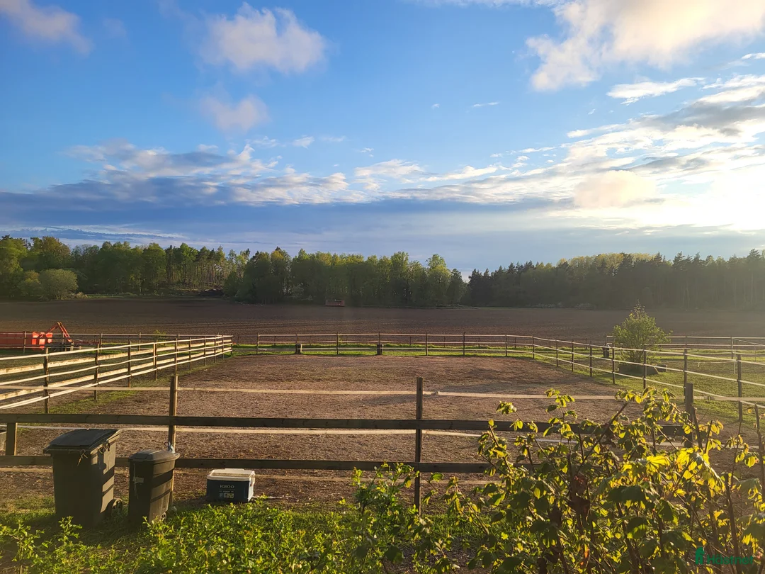  stallplats finnes: Ledig boxplats på Almare Stäket i Kungsängen - Annons 1
