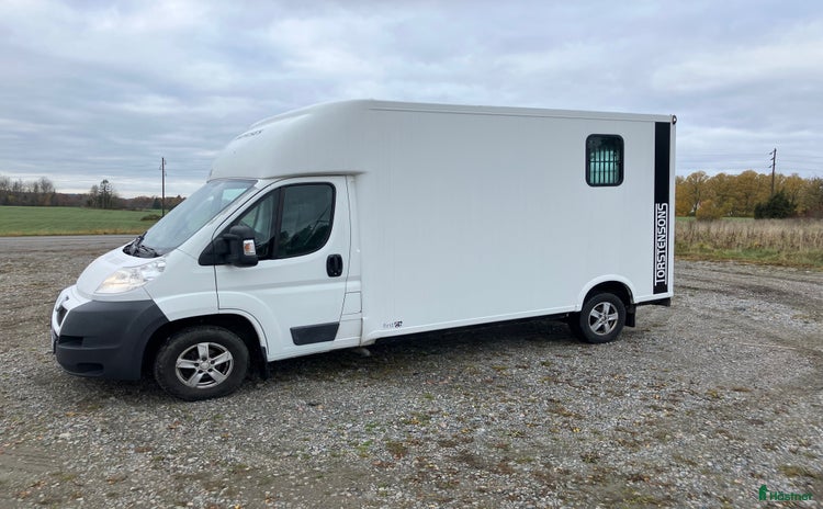 Hästlastbilar  fordon & transport till salu i Norrtälje - Annons 4