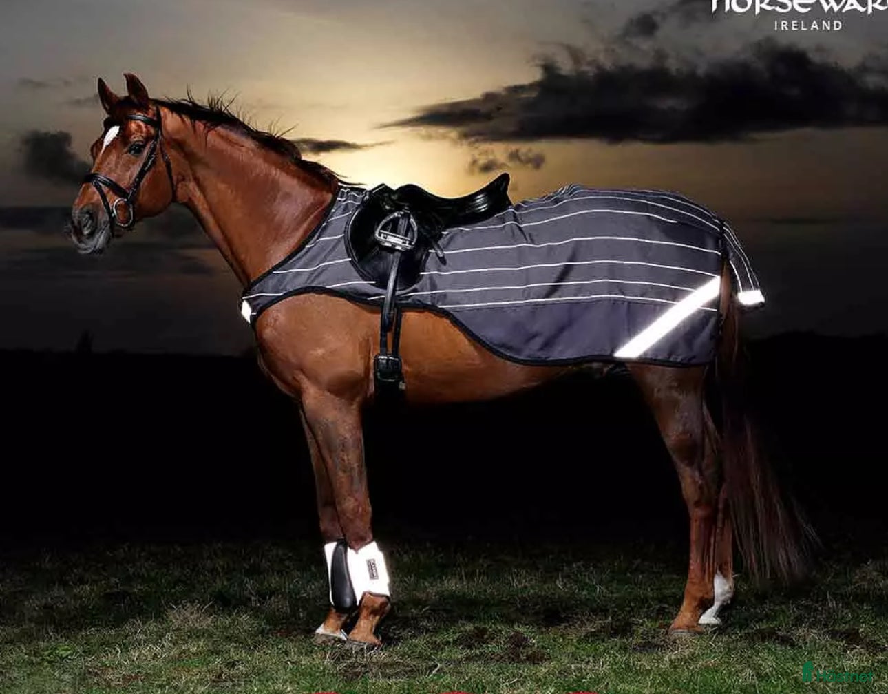 Täcken hästutrustning till salu: Amigo skrittäcke med reflex i Bromma - Annons 1