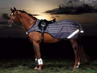 Täcken hästutrustning till salu: Amigo skrittäcke med reflex i Bromma - Annons 1