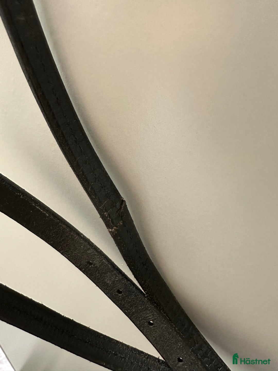 Träns hästutrustning till salu: Bettlöst träns Globus  i Kristianstad - Annons 2