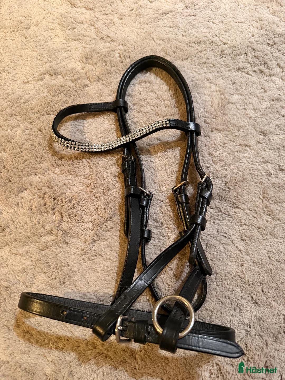 Schabrak & Vojlockar hästutrustning till salu: Utrustning  - Annons 5