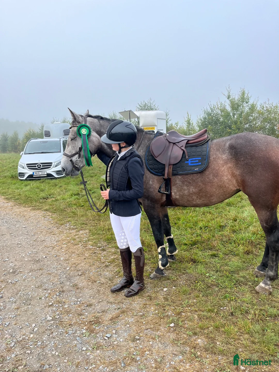Hoppning hästar till salu: Trevlig D ungponny  - Annons 2