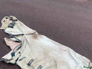 Täcken hästutrustning till salu: Horseware eksemtäcke stl 140 i Älmhult - Annons 1