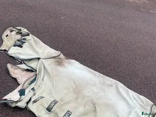 Täcken hästutrustning Horseware eksemtäcke stl 140 i Älmhult - Annons 2
