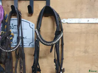 Träns hästutrustning Marston träns (Hööks), nyskick i Asmundtorp - Annons 13