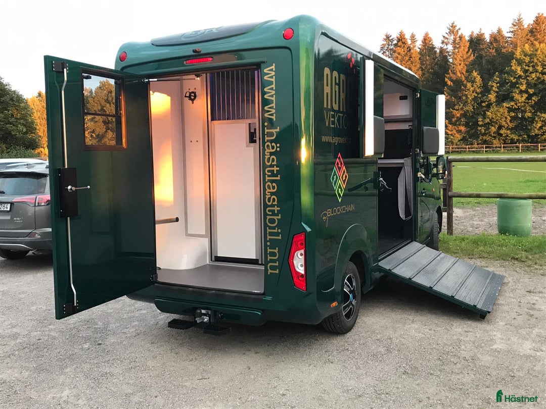 Hästlastbilar  fordon & transport till salu: STX 3-sits stuterimodell -mycket välvårdad! i Lidköping - Annons 2