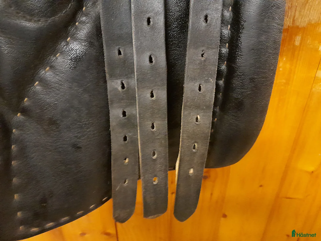 Sadlar hästutrustning till salu: Stubben stl 31 normal mot vid 17 tum i Gammelstad - Annons 9