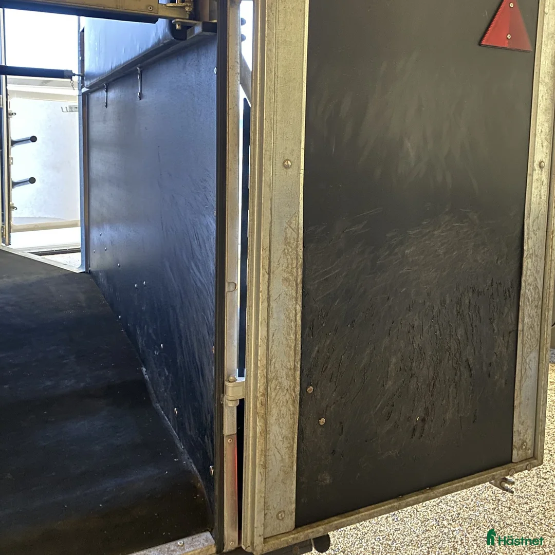 Hästtransporter  fordon & transport till salu: Promax m AidSystem öppna/stäng framifrån+sadelskåp - Annons 17