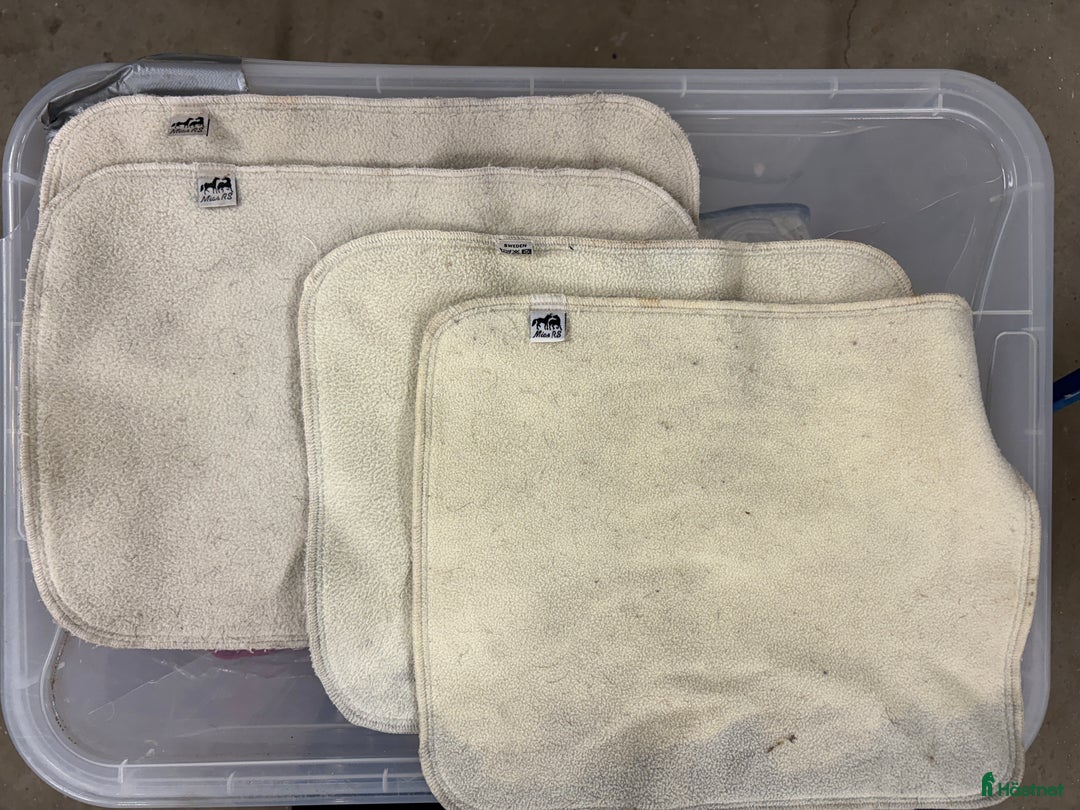 Benskydd hästutrustning till salu: Benpaddar från Eskadron och Mias i Täby - Annons 5