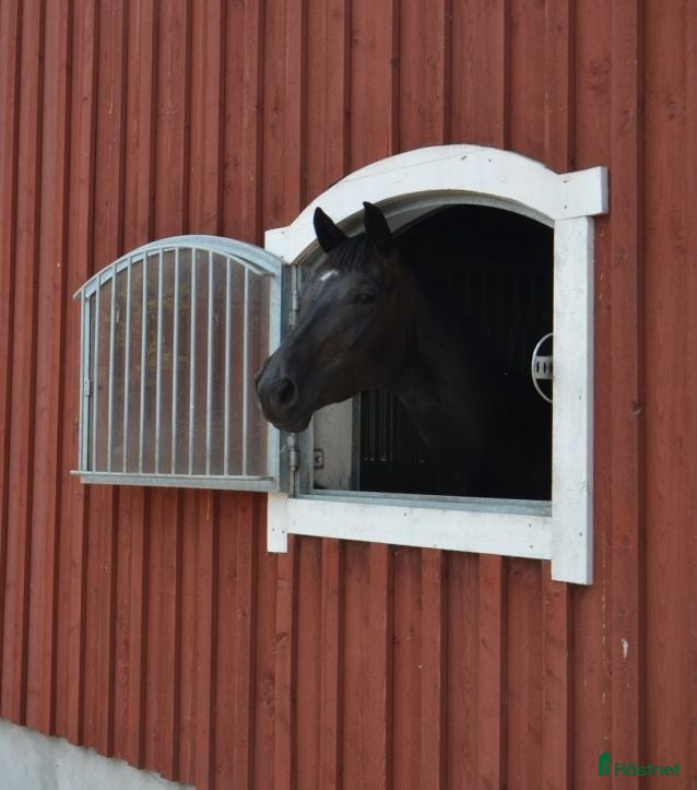  stallplats Stallplats Halmstad - Annons 2
