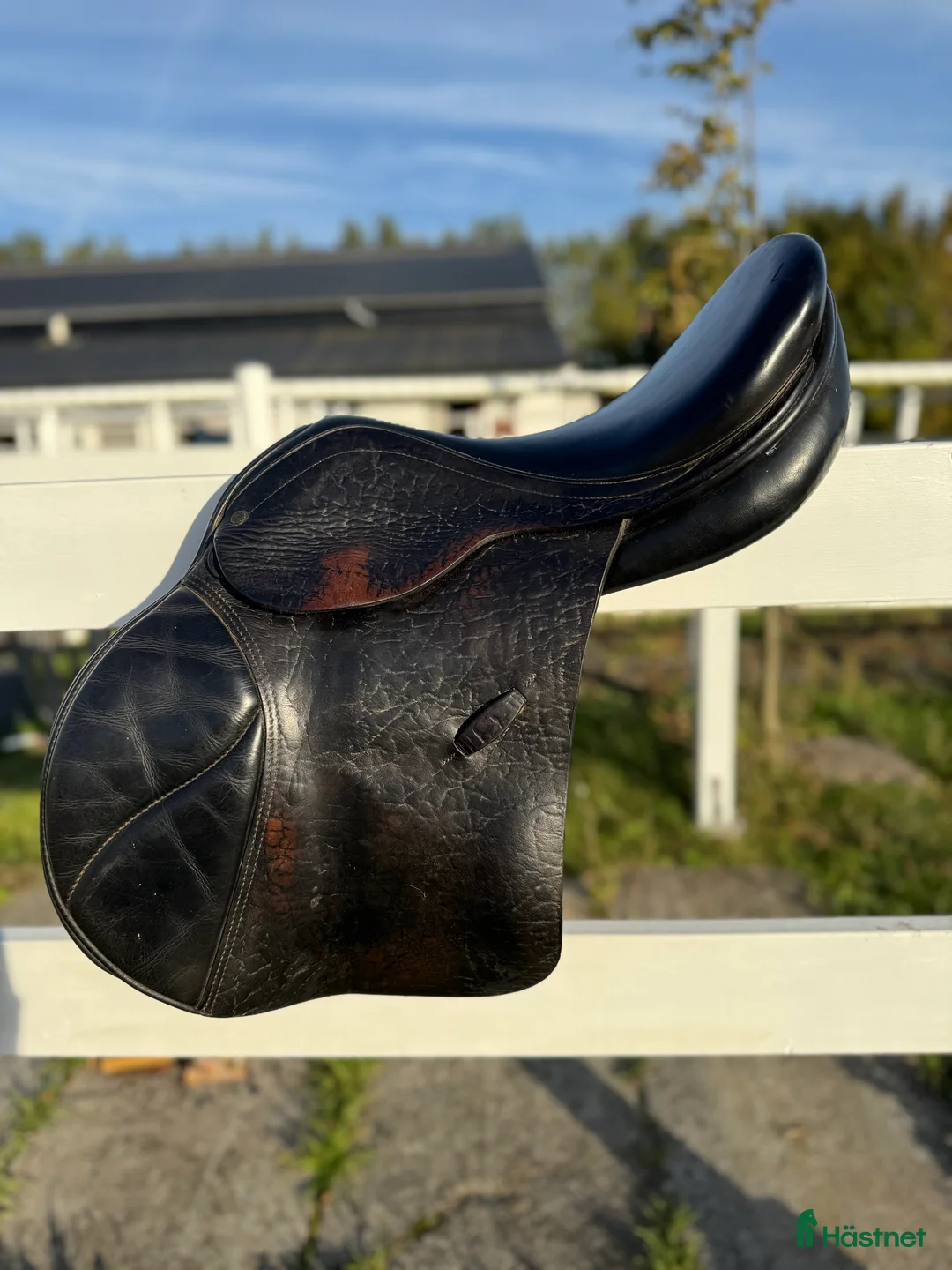 Sadlar hästutrustning till salu: Kvalitet sadel från Jensen, perfekt till inridning i Limhamn - Annons 3