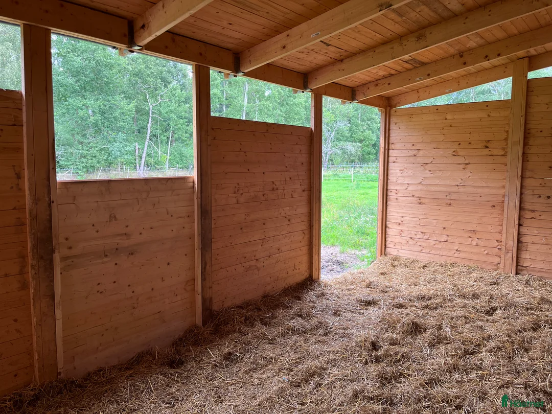  stallplats finnes: Lösdrift Unghingst Valack Sto Norrköping 2500:-  i Norrköping - Annons 8