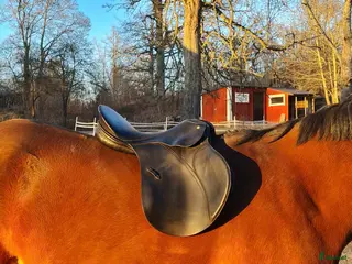 Sadlar hästutrustning Passier allround sadel - Annons 15