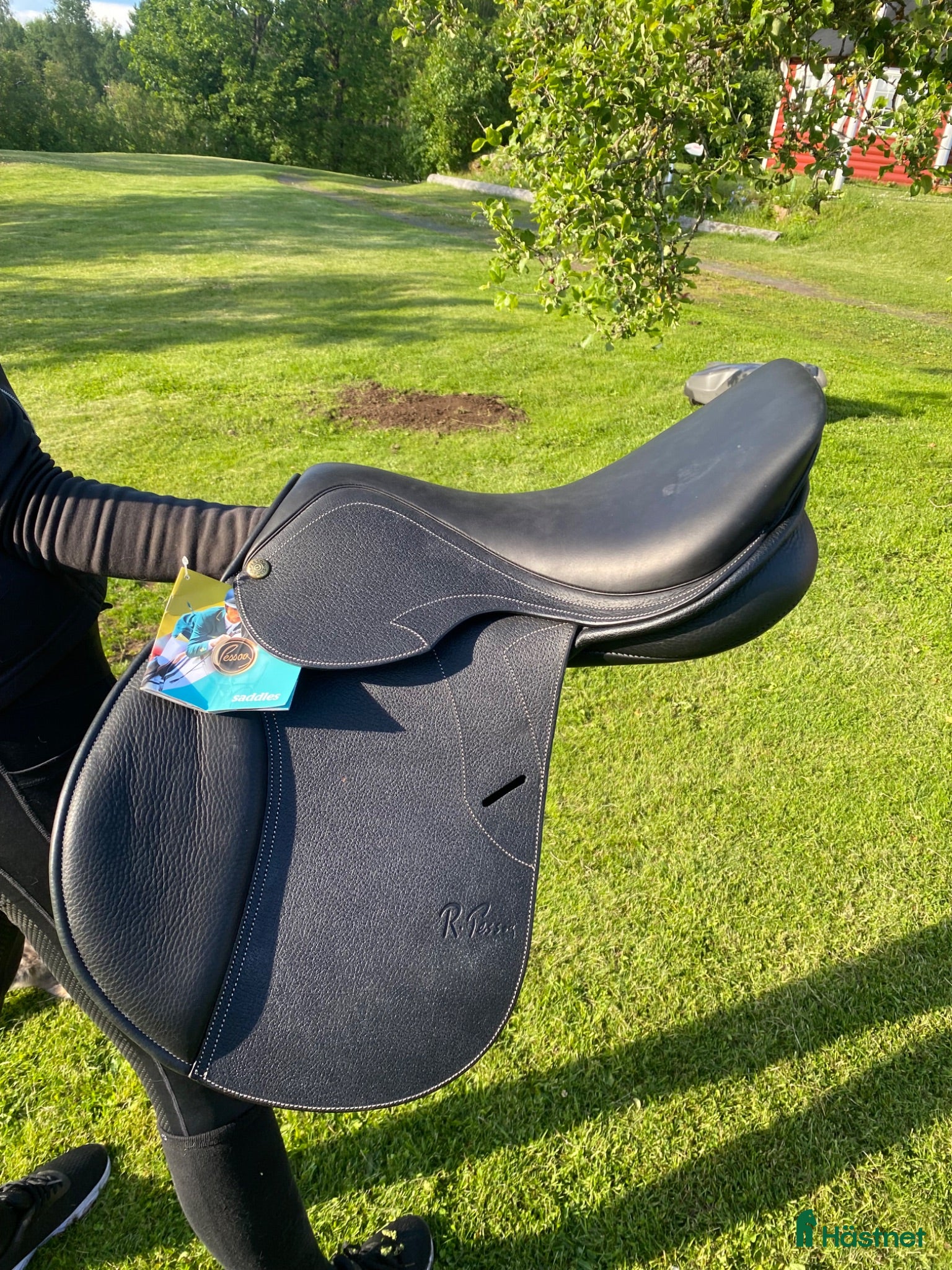Sadlar hästutrustning Pessoa Gen X Elite 16” - Annons 8