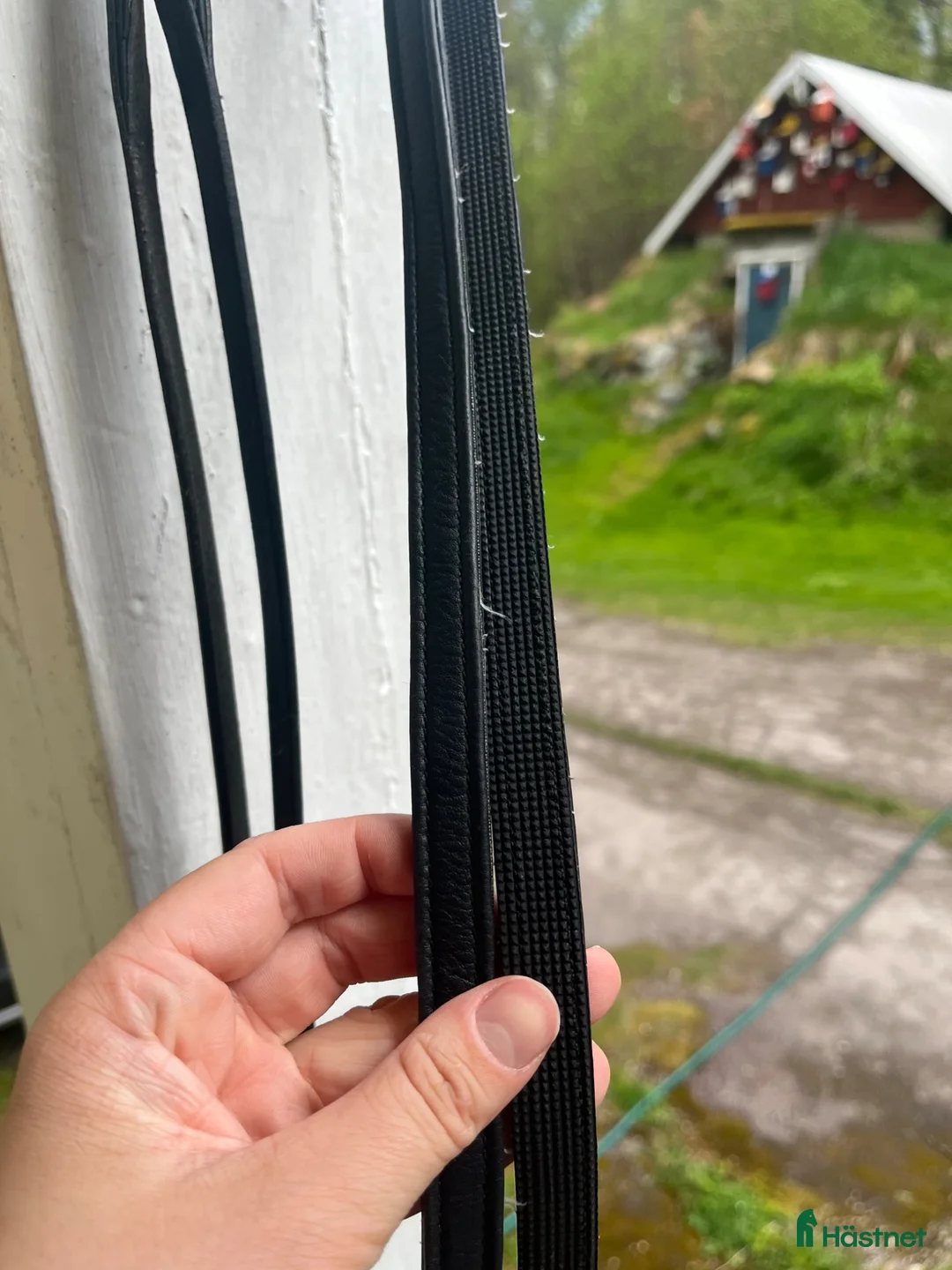 Träns hästutrustning till salu: Läder/gummityglar - Annons 2