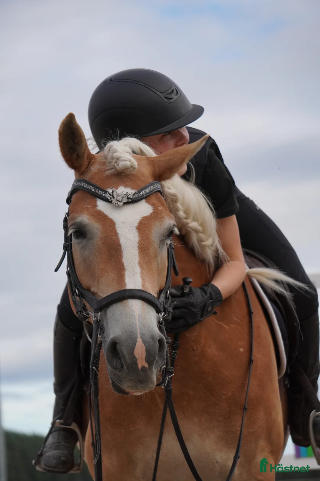 Allround hästar till salu: Superfin allroundponny, extra talang inom dressyr. - Annons 2